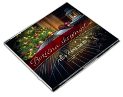 CD Slovenska pesem 3D