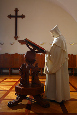 Petauer Branko6