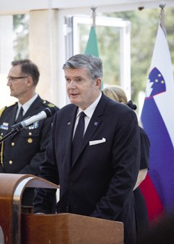 Kunstelj Tomaz5