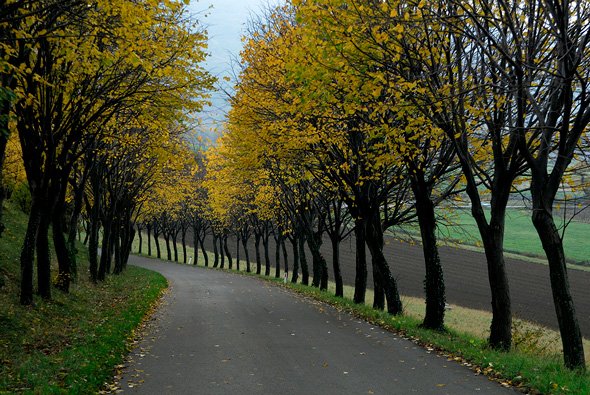 iskra 10 2022b