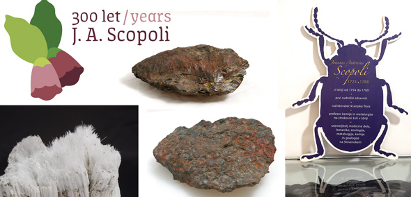 Scopoli02