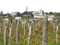 Kosovel Srecko07