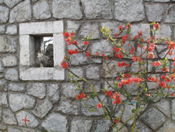 povejmo z zgodbo 04 2024a